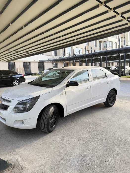 Cobalt Midnight Muddatli tolov asosida harid qiling