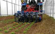 Cultivator intre-rânduri Ferrari