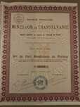Actiune rara mine aur Transilvania Romania  1930 la purtator  cupoane