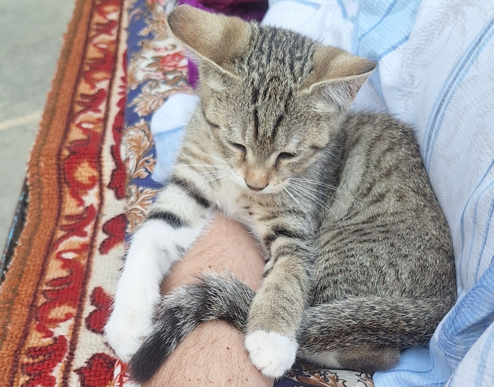 XADYAGA beriladi