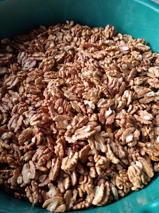 Miez nuca și nuci în coaja