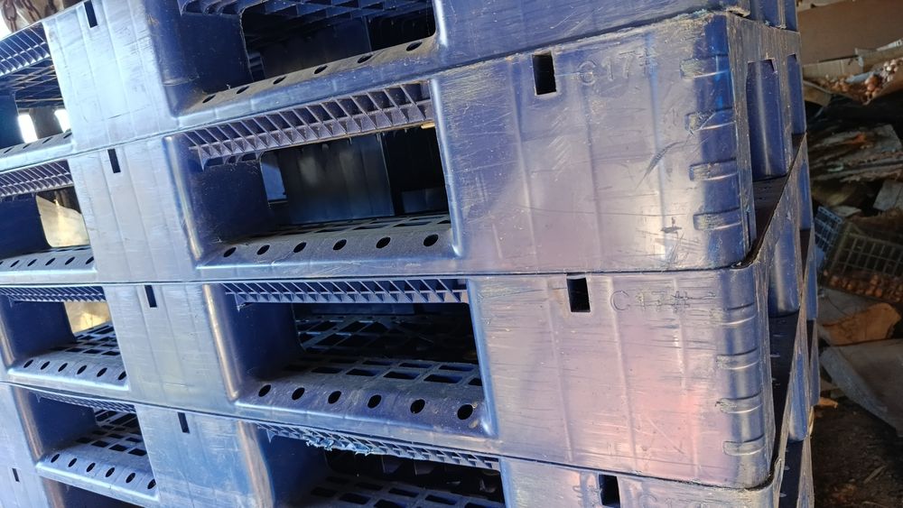 Palet plastic H1-eco