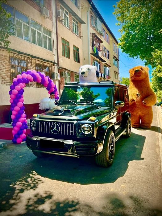 Arenda prakat animator beramz va foto video xizmatlari