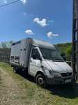 Vand mercedes sprinter autorizat transport animale