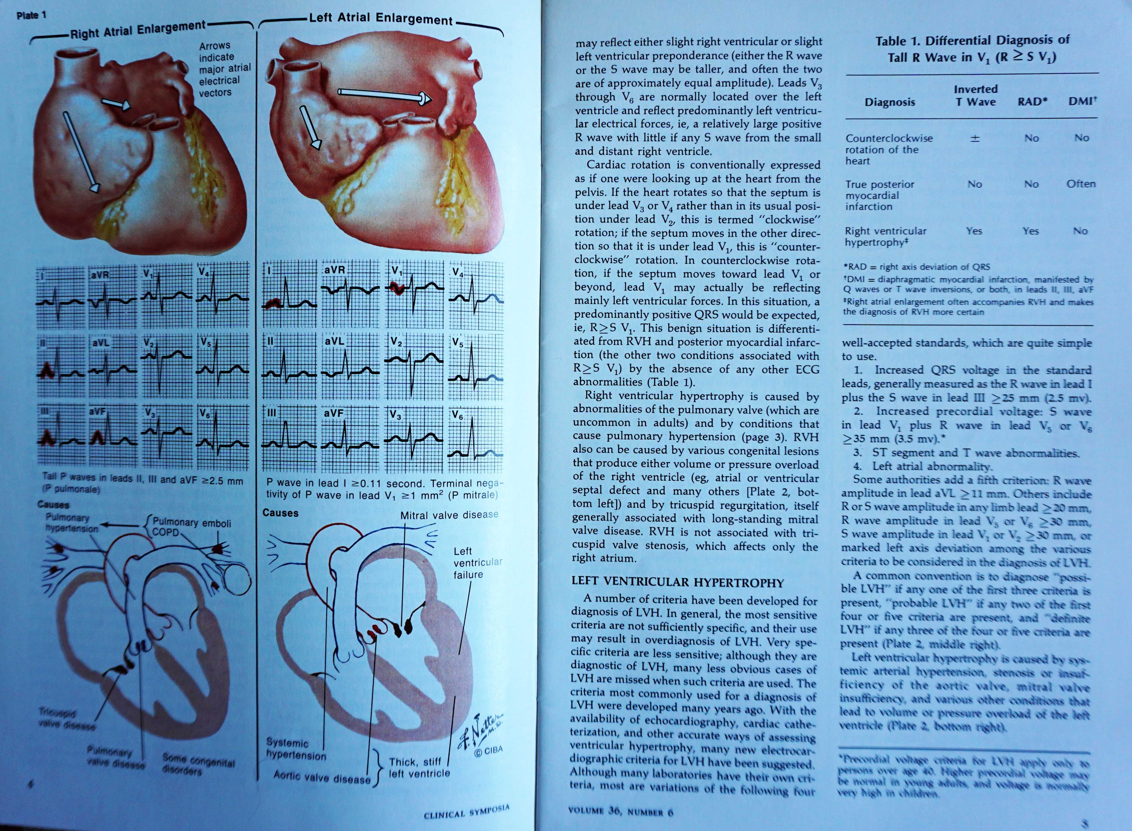 Книги  (учебници) по медицина