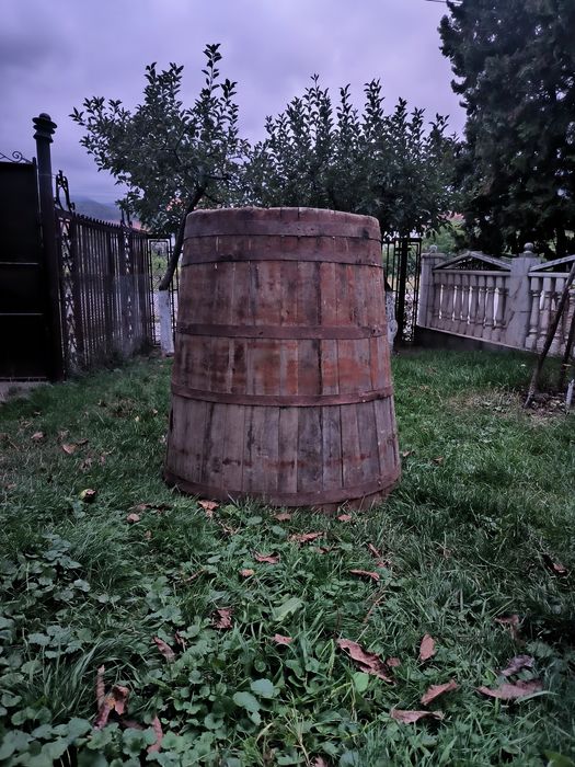 Cada struguri și butoi stejar