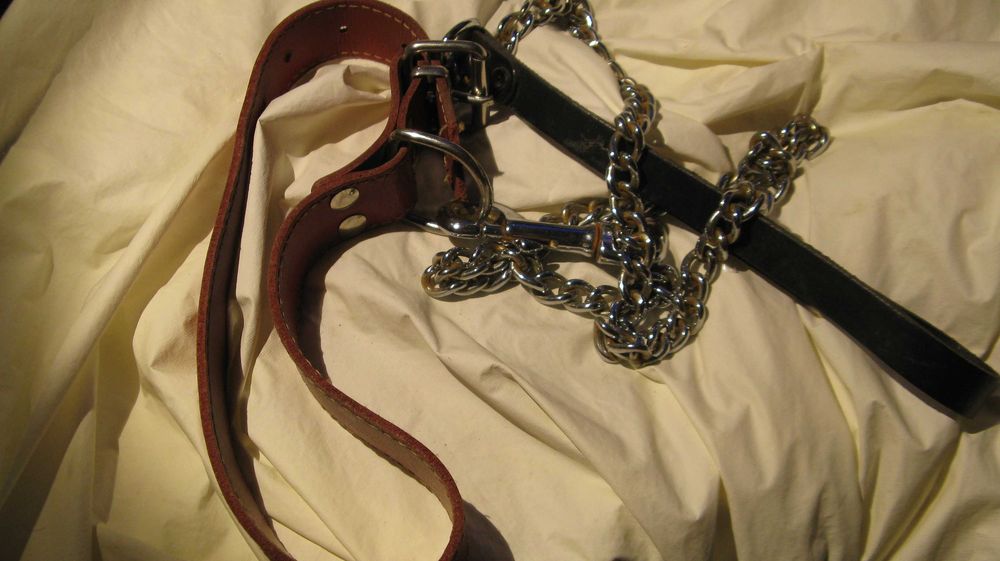 Vand zgarda si lesa caine