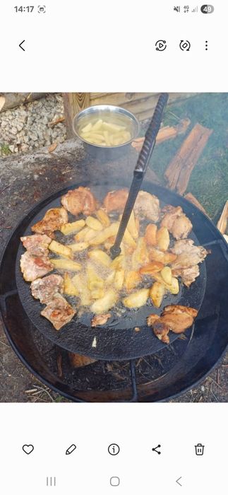 Disc gratar picnic picioare detasabile