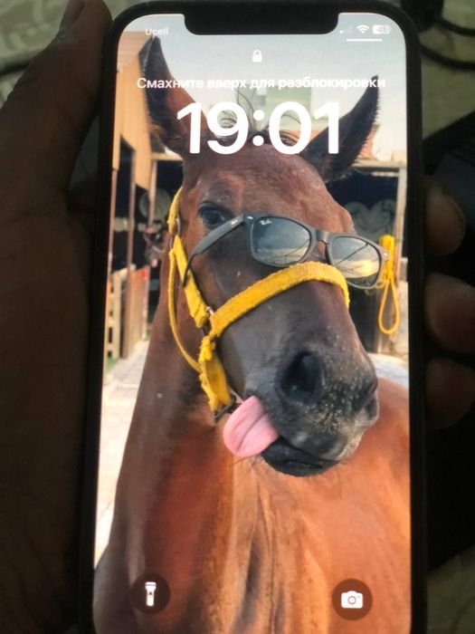 Aifon 12 fro sotiladi