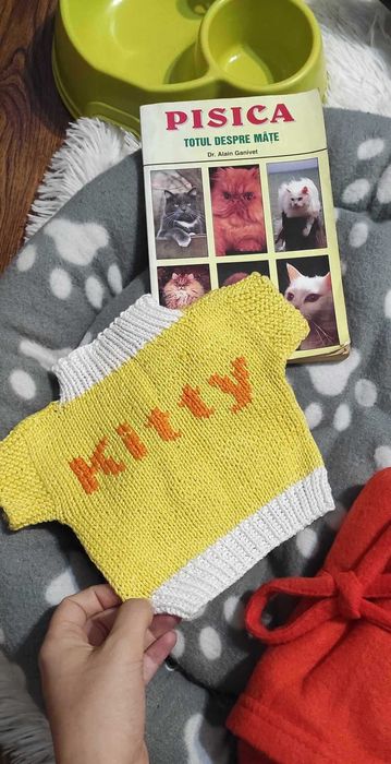 Pat pisica + accesorii