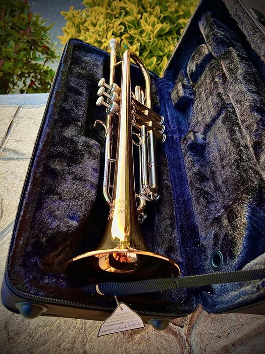 Trompetă Thomann – stare impecabilă + cutie premium + stativ inclus