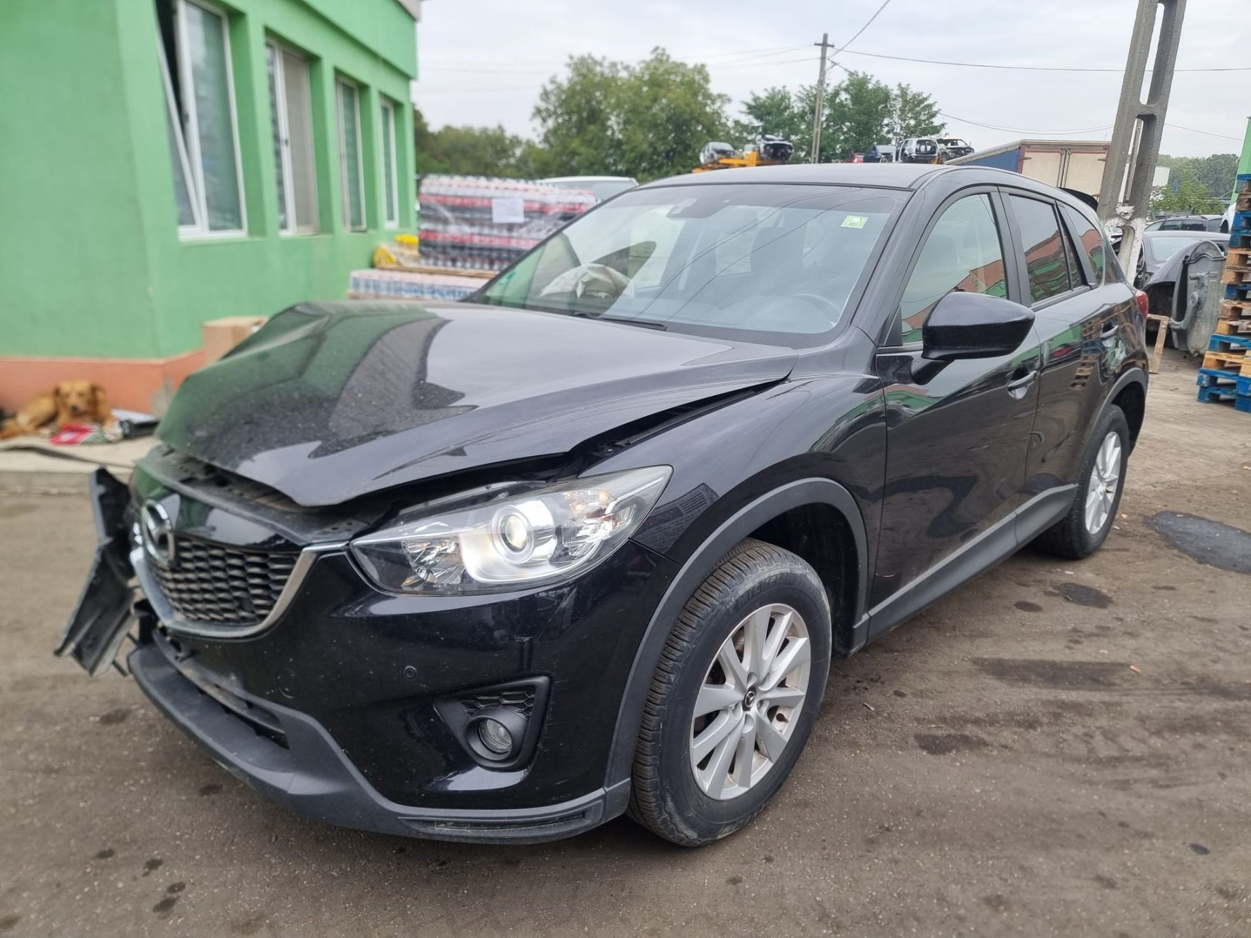Portiera usa dreapta fata Mazda CX-5 1 (KE) [2011 - 2015] 2.2 d SHY1