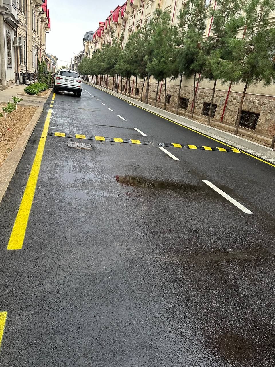 Lejayishi poliseski