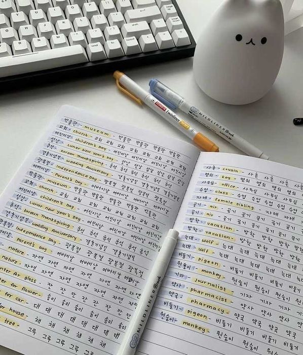 Репетитор Корейского языка [TOPIK 4급]