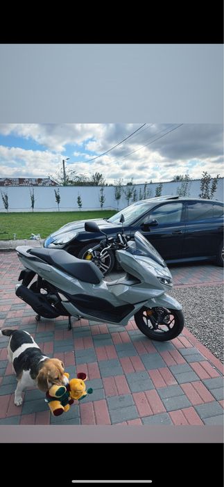 Vand Pcx 125cc 2024