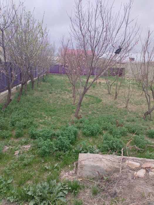 Участка ери сотилади