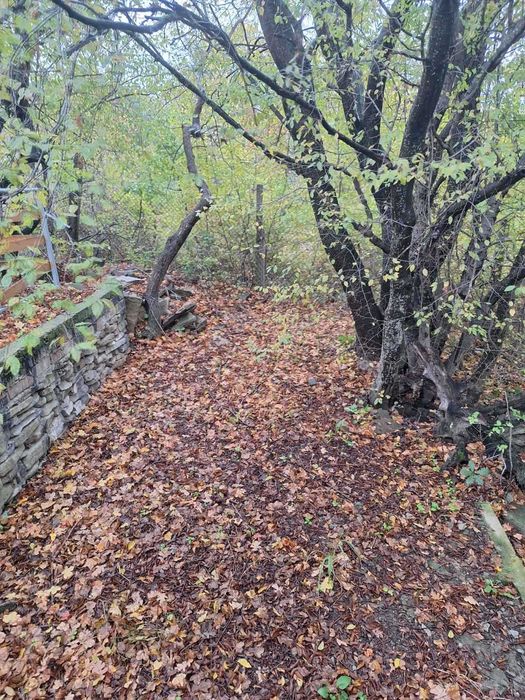 Парцел с постройка в село Кошарица