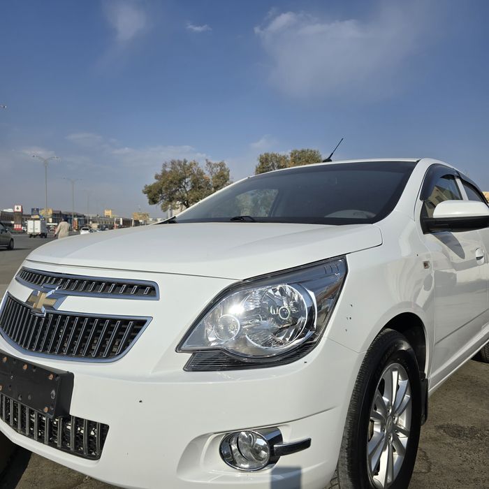 Кобальт ат сотилади