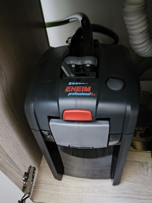 Acvariu cu Tetra zone glow fish. Complet. 250 l