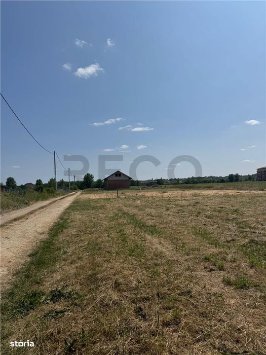 RECO teren în Paleu