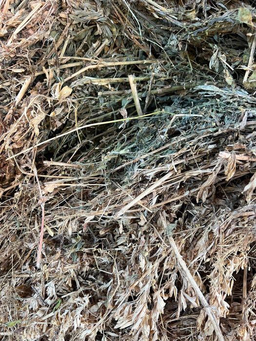 Vand baloti de lucerna