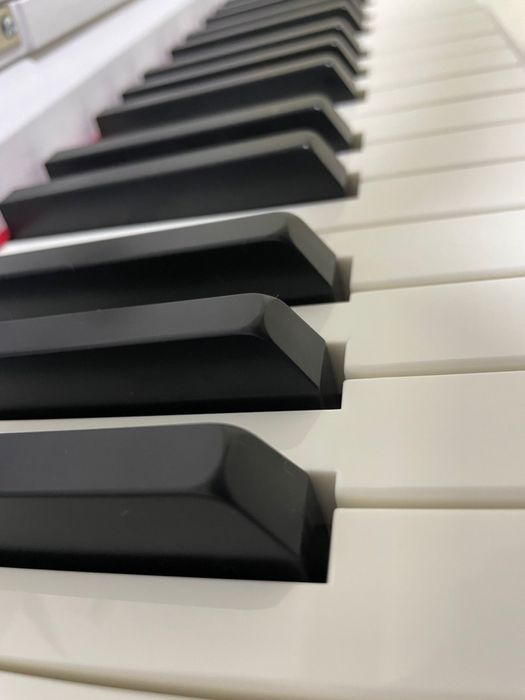 Цифровое пианино Stravinskiy Home