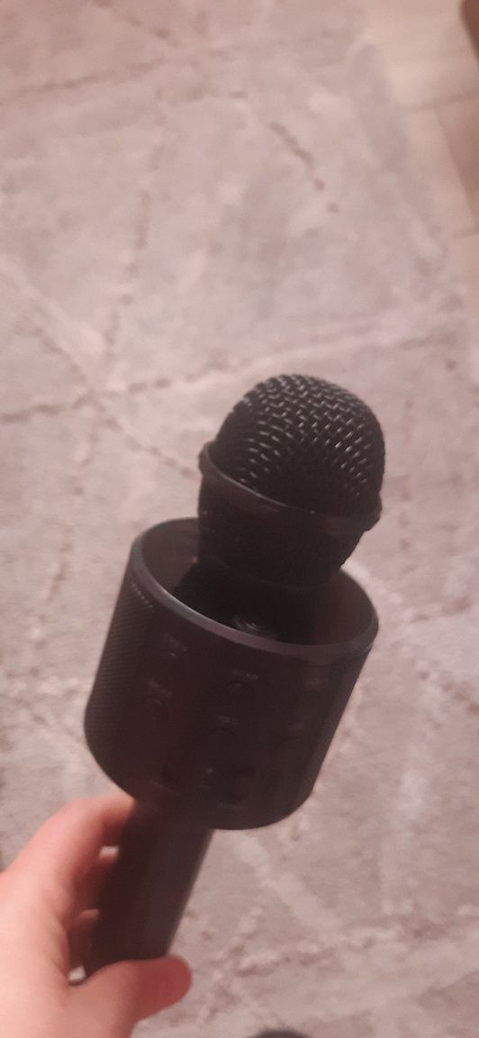 Microfon cu brutu