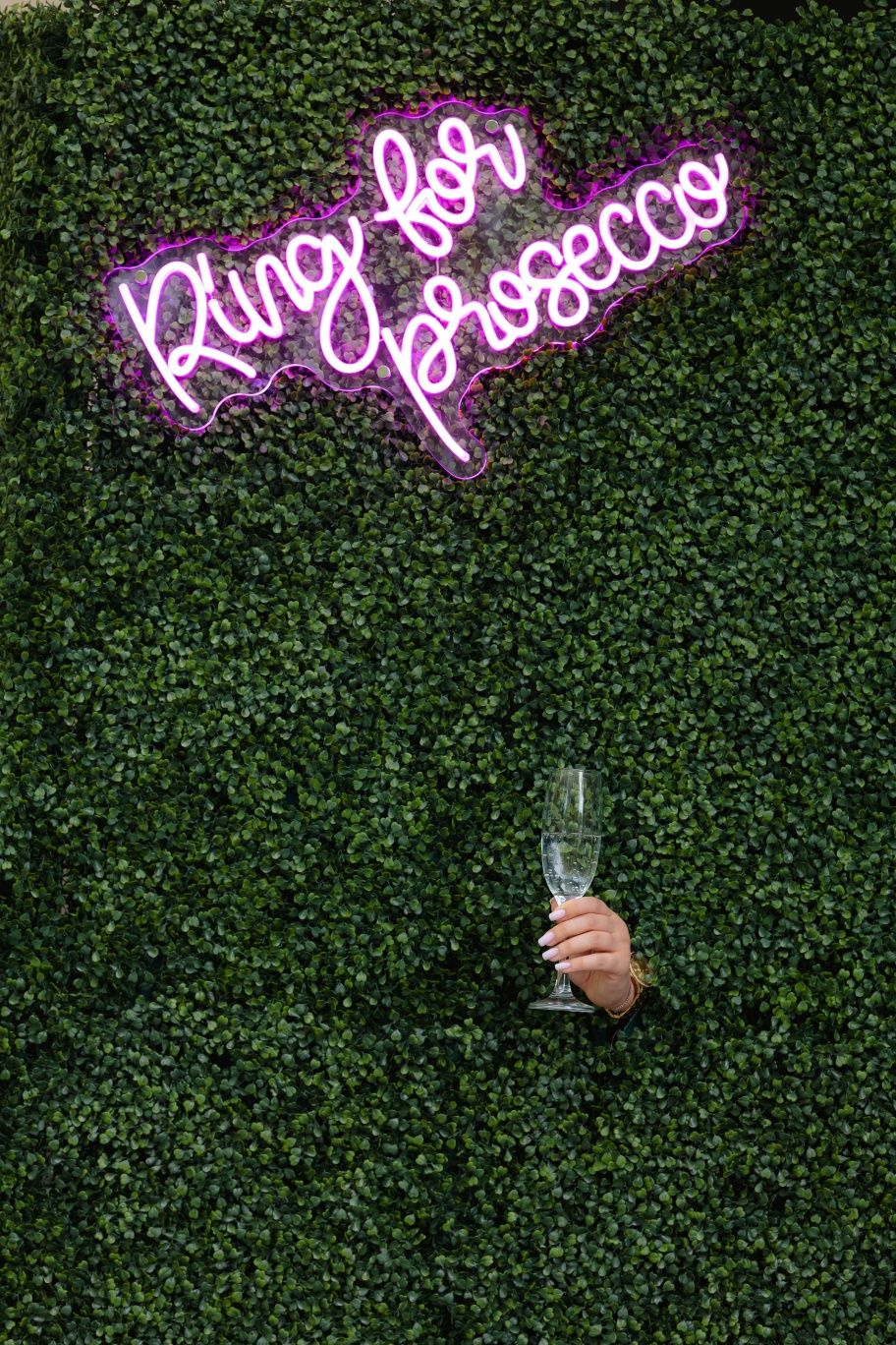 Panou evenimente Ring for Prosecco de vanzare sau colaborare