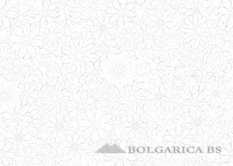 PVC ламели за декорация  MOTIVO Clаssic -Дигитален печат 15 дизайна