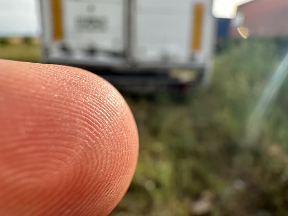 dezmembrez walking floor