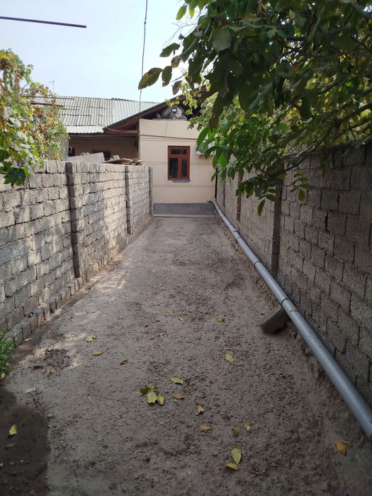 3 хонали уй Койлик 1 массив