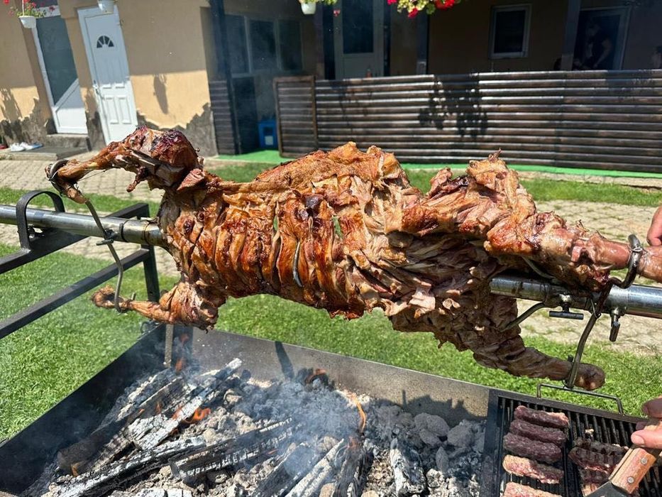 Inchiriez protap-rotisor electric!