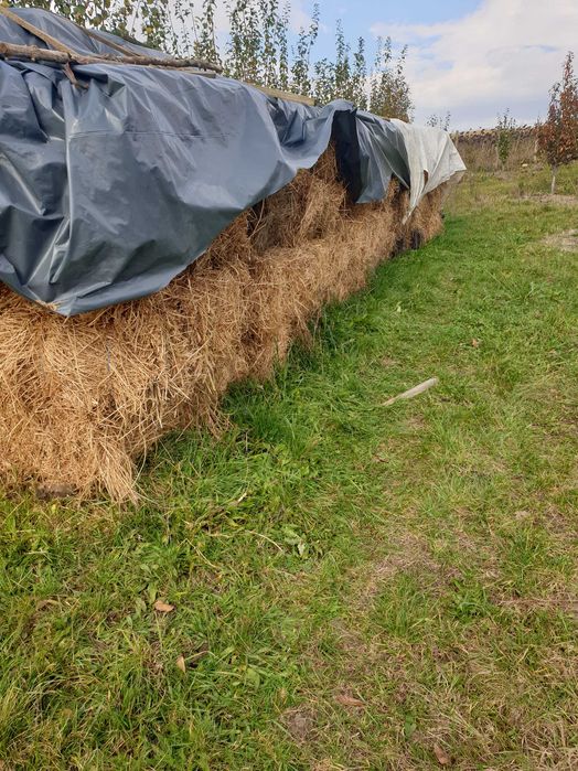 Vând baloți lucernă