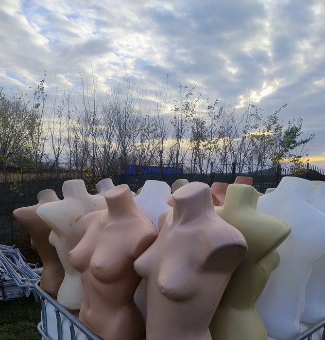 Busturi pentru haine