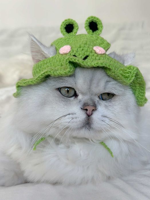 Шапка жабче за котка/куче/аксесоар за домашен любимец