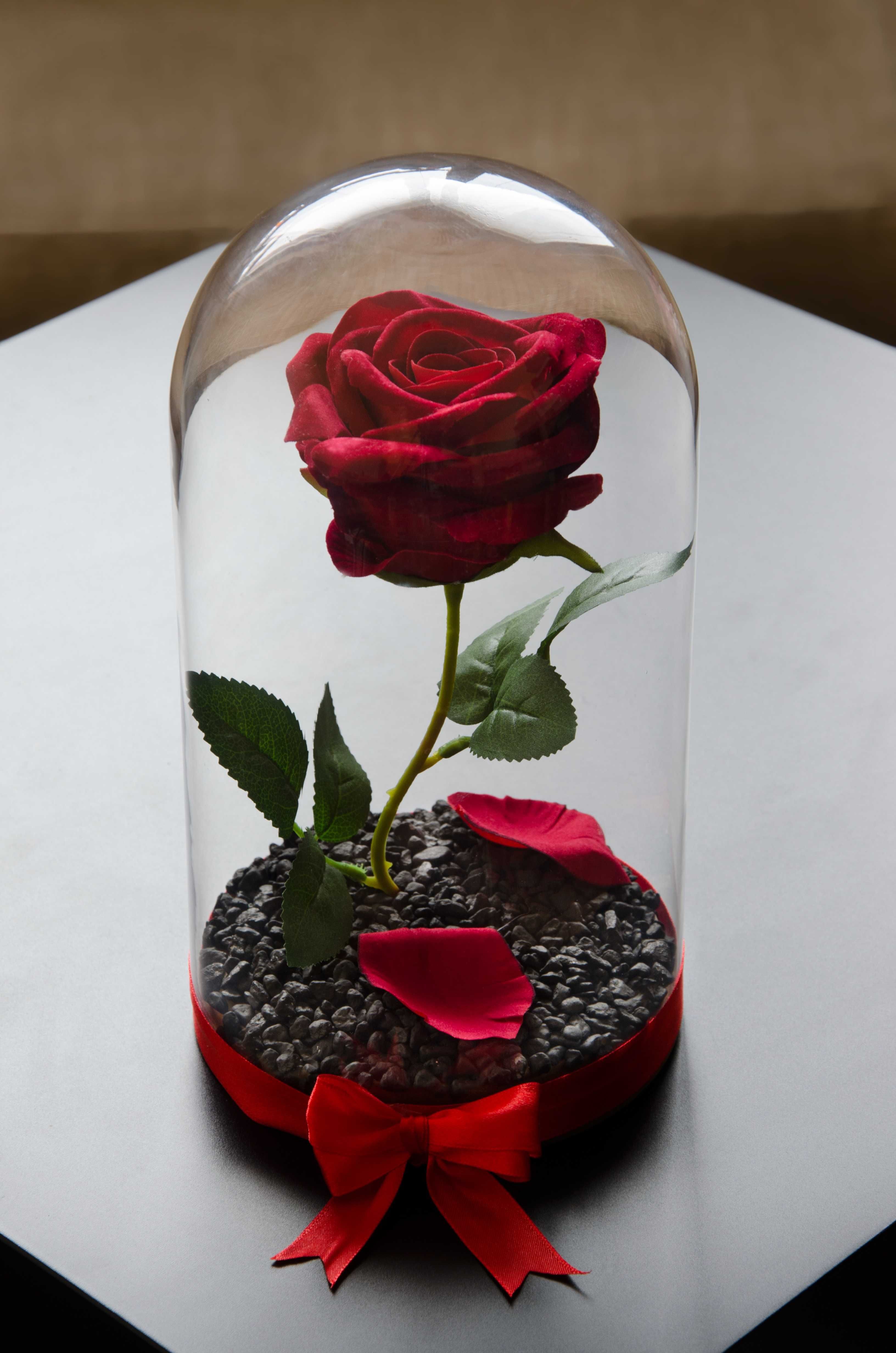 Вечна Роза в ГОЛЯМА Стъкленица/ Оригинална Идея за Предложение за Брак