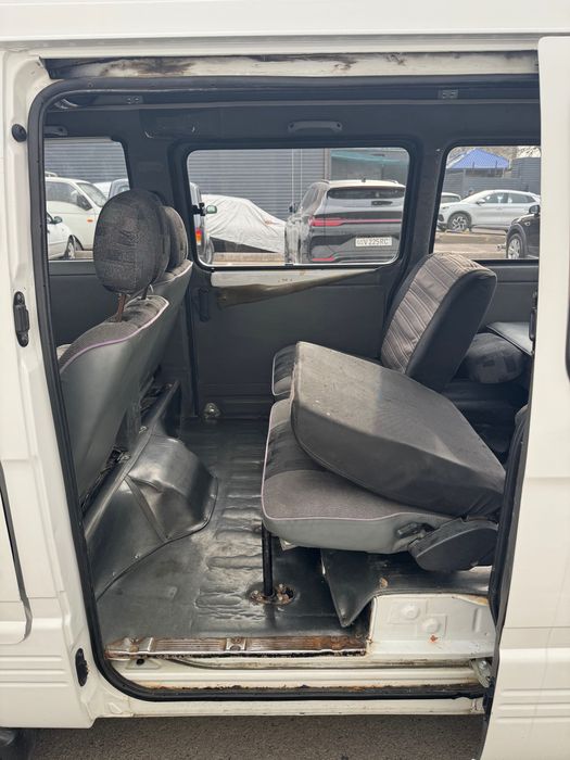 Damas Universal 2019