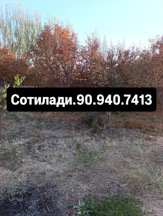 Прадаятса.1.ком.6.сотик.навбохор.