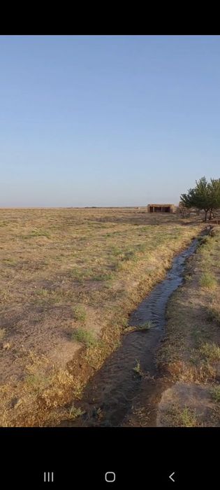 Нурота туманида 50гектар Ер ижарага берилади