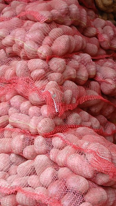 Cartofi rosii cu miezul galben