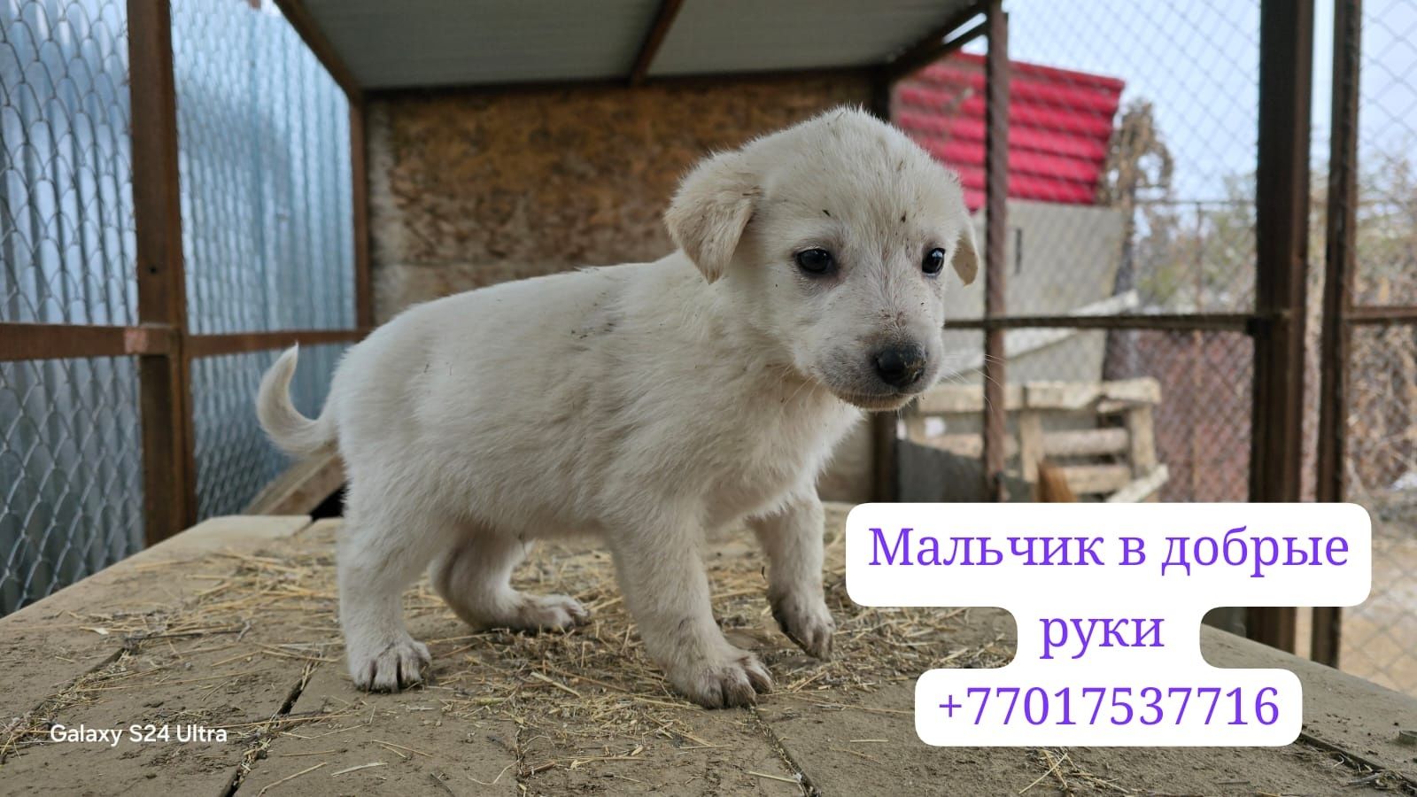 В самые добрые и ответственные руки