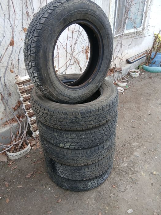 Зимние шипованые