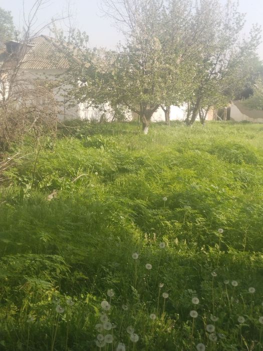 Уй сотилади хужжат бор