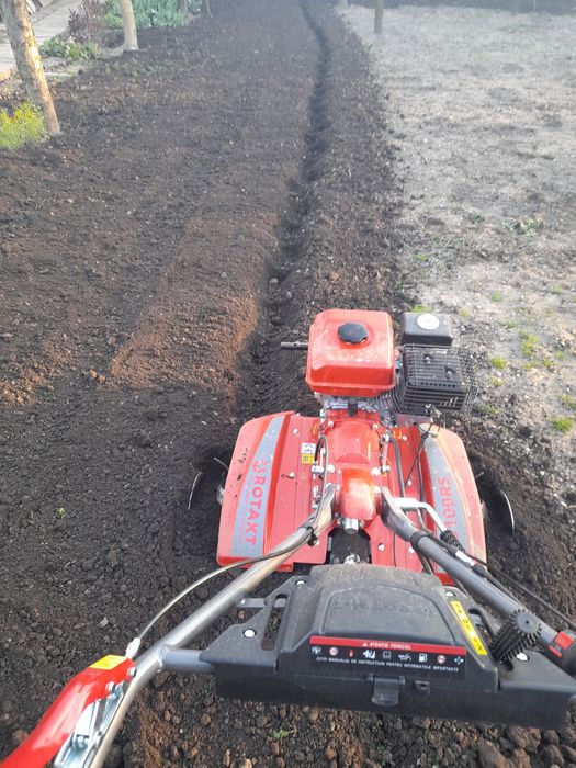 Sap gradini cu motocultor