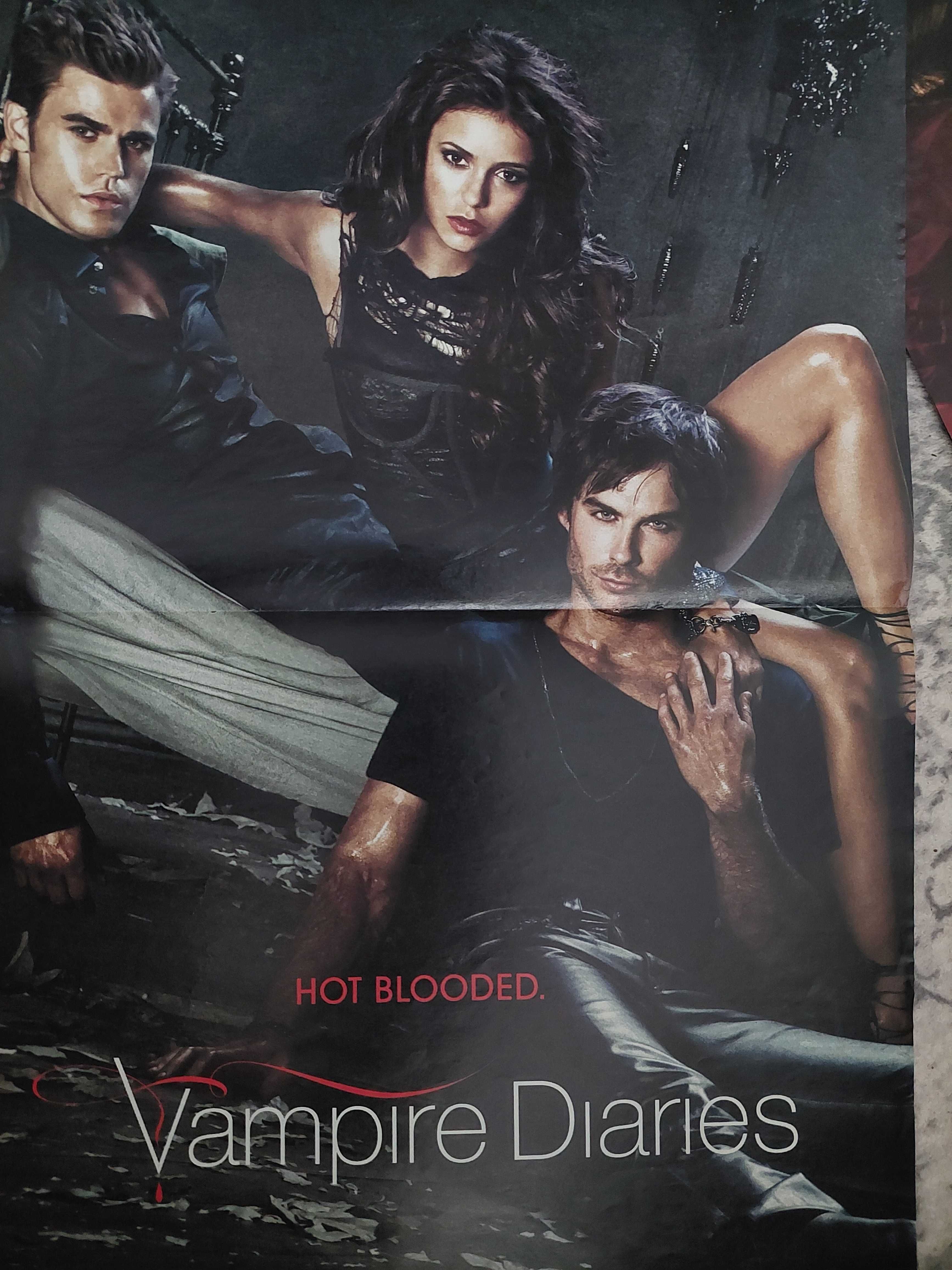 Poster Tom si Bill Tokio Hotel / Jurnalul Vampirilor