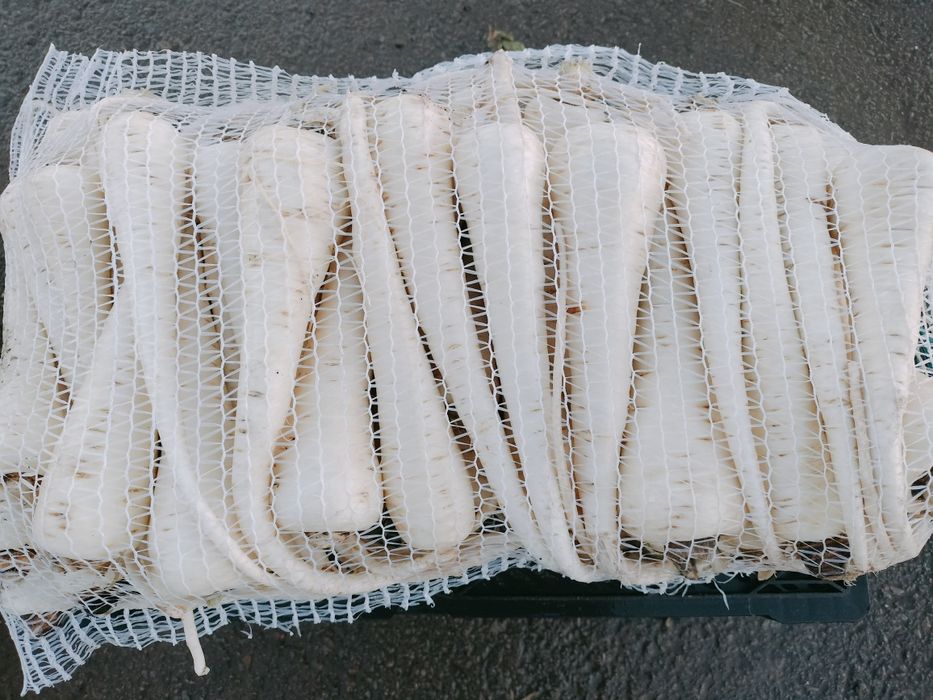 Păstârnac de vanzare