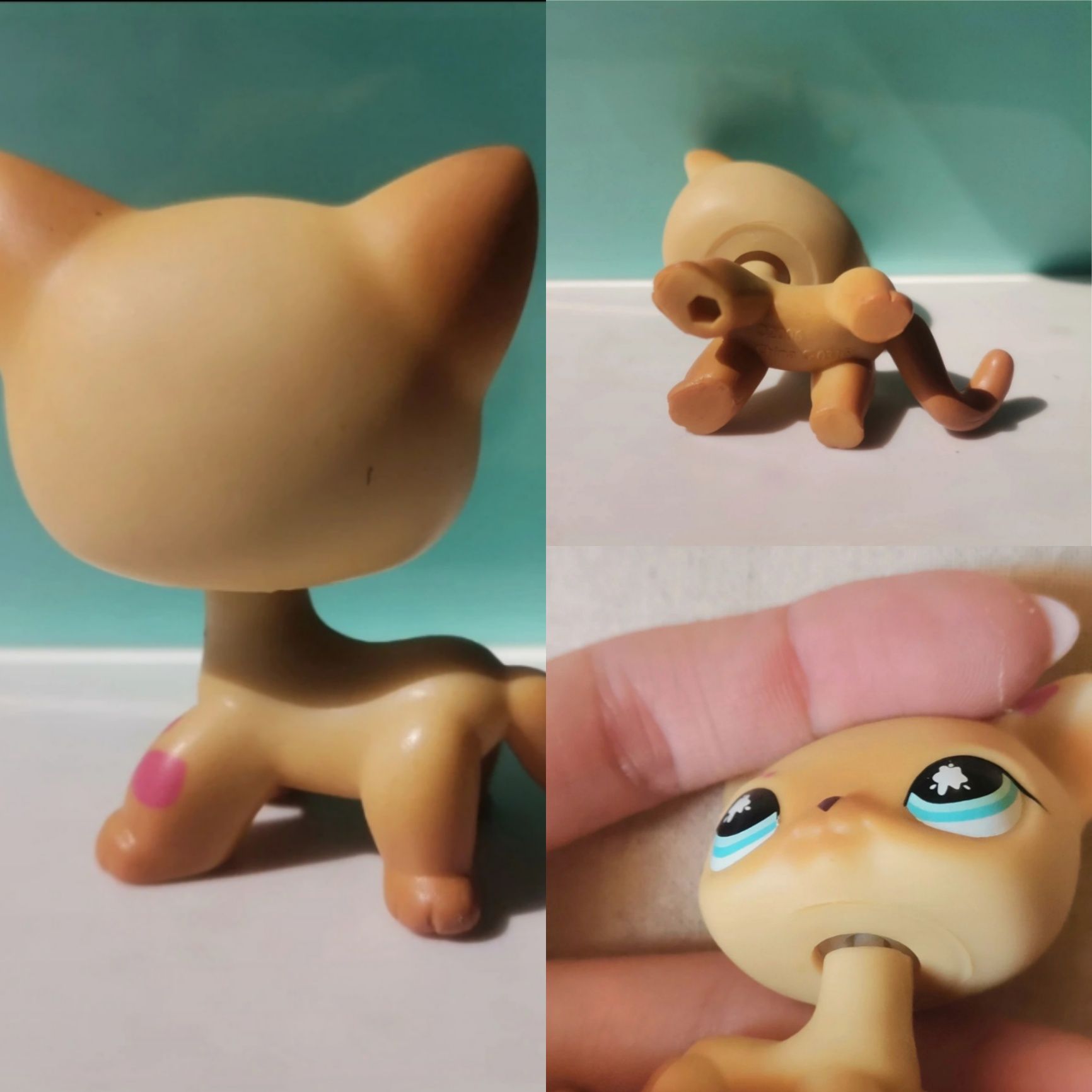 5 Pisici Shorthair Persana Tabby Littlest Pet Shop Lps