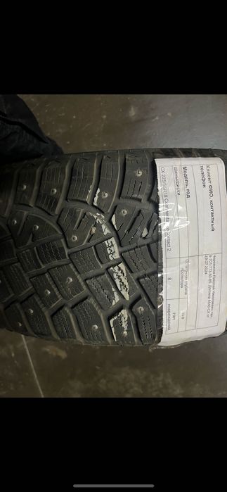 Зимние шины с шипами
