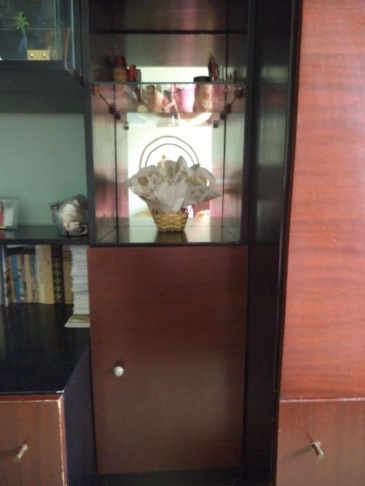 Библиотека секционна модел "Мира"