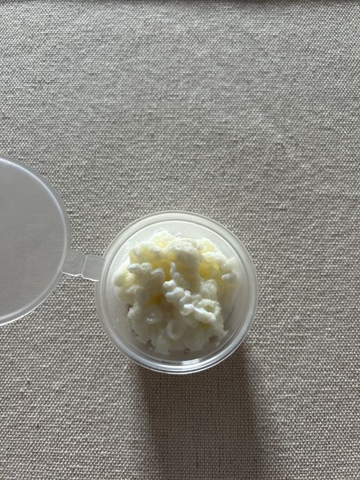 Ciuperca tibetana pentru Kefir